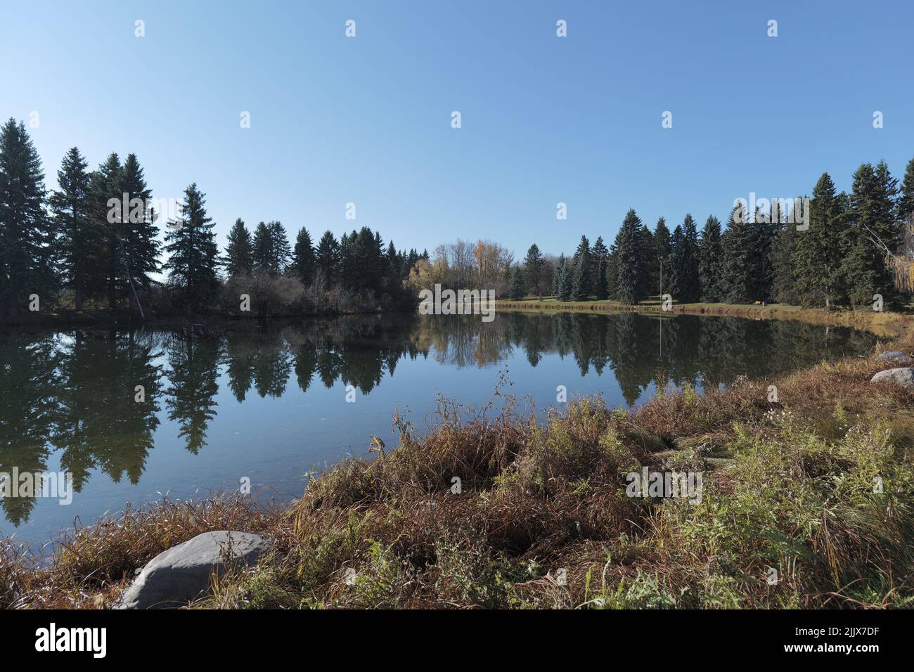 A beautiful view of Hawrelak Park in the spring season in Edmonton, Alberta, Canada Stock Photo