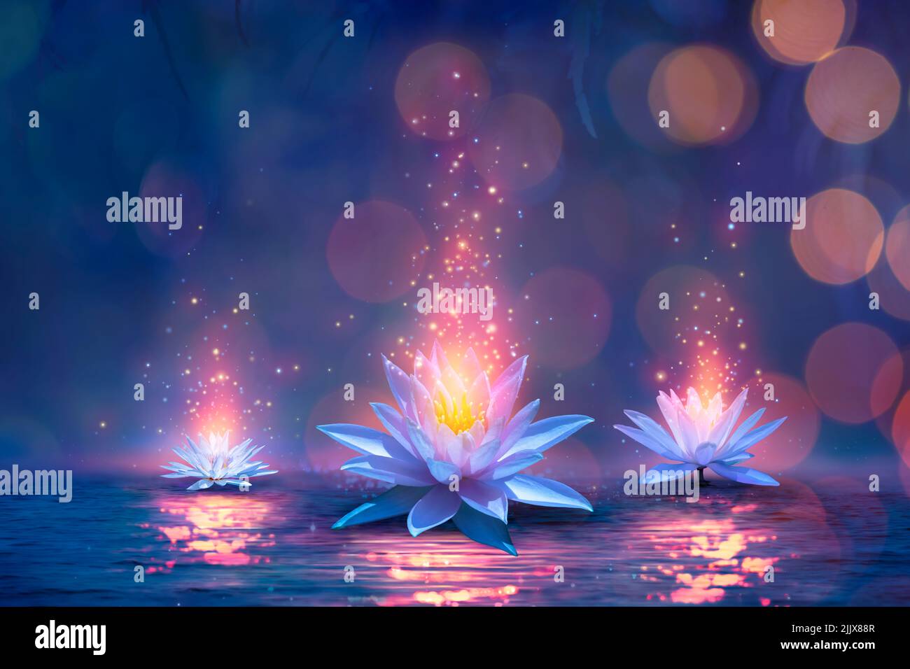 Magic Lotus Flower On Water - Miracle Concept - Waterlilies In Defocused Background Stock Photo
