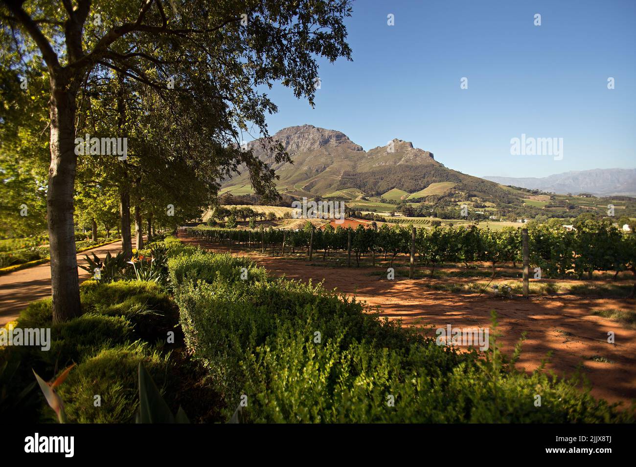 DelaireGraff Estate, Stellenbosch, South Africa Stock Photo Alamy