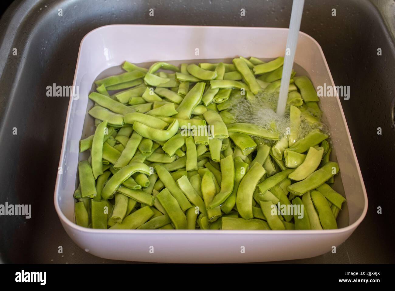 Fresh beans washed in the sink under water Stock Photo Alamy