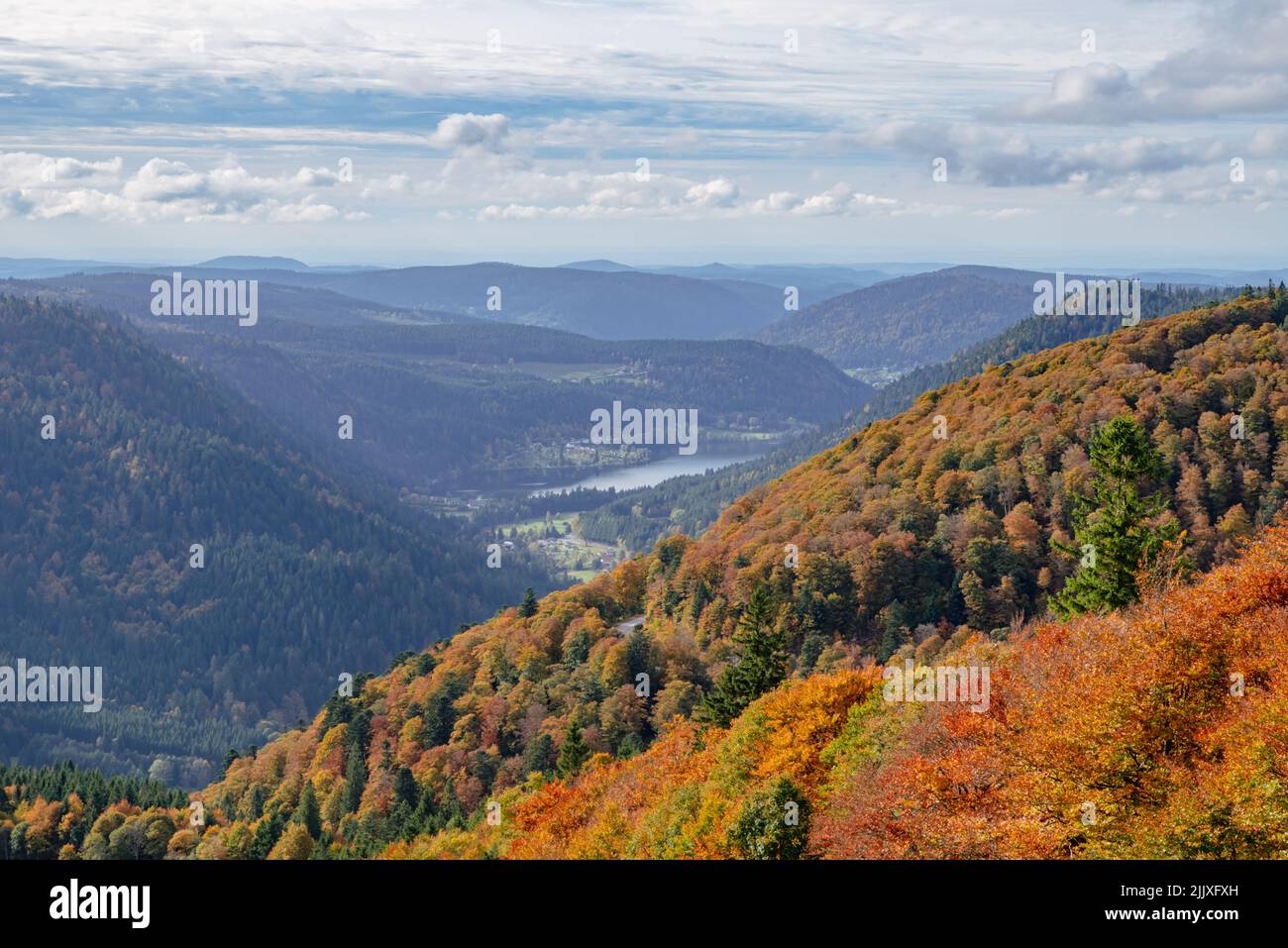 Autumn landscape with view of autumn colored trees in Vosges Mountains