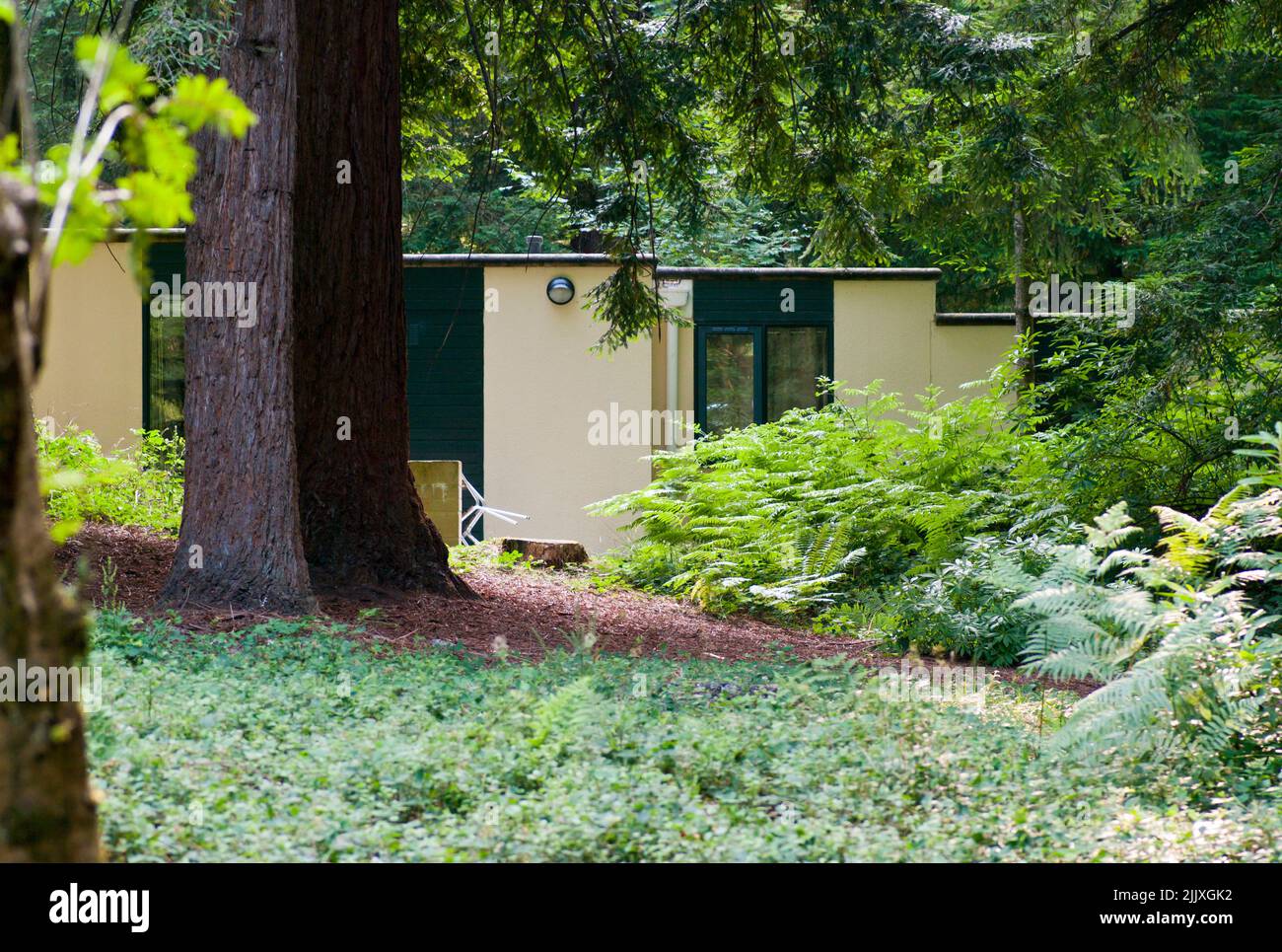 Holiday Lodge in the forest at Centre Parcs Longleat Uk United Kingdon Great Britain England Stock Photo