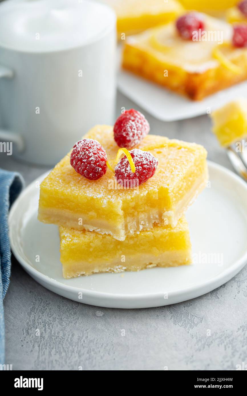 Homemade lemon bars topped with powdered sugar and raspberries Stock ...