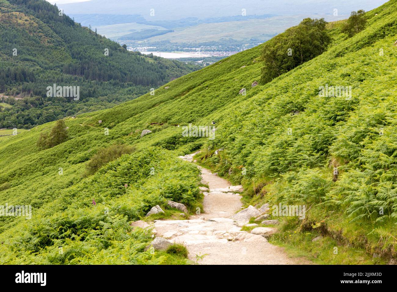Stony walking hiking trail path on the tourist route up to Ben Nevis