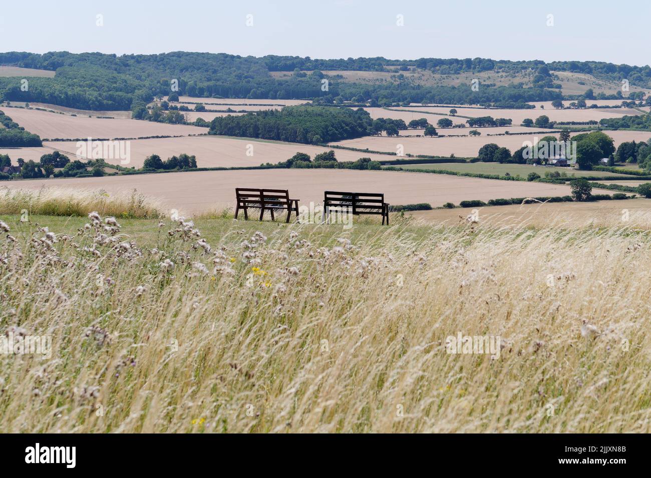 Countryside view of Whipsnade near Dunstable in Bedfordshire, England. Long grass in the foreground and benches centre. Stock Photo