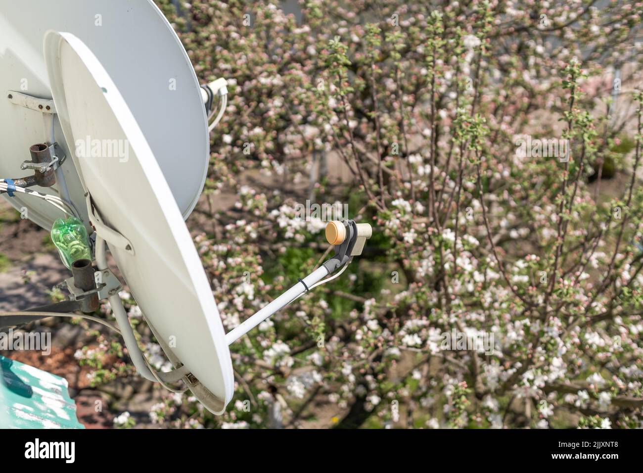 satellite dish at home in a flower garden Stock Photo Alamy