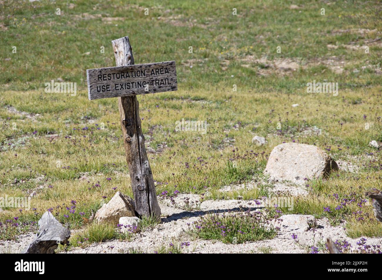 restoration area use existing trail sign on the side of a Sierra meadow Stock Photo