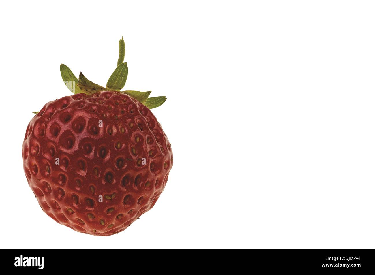 Macro view of ripe red strawberry isolated on white background Stock ...