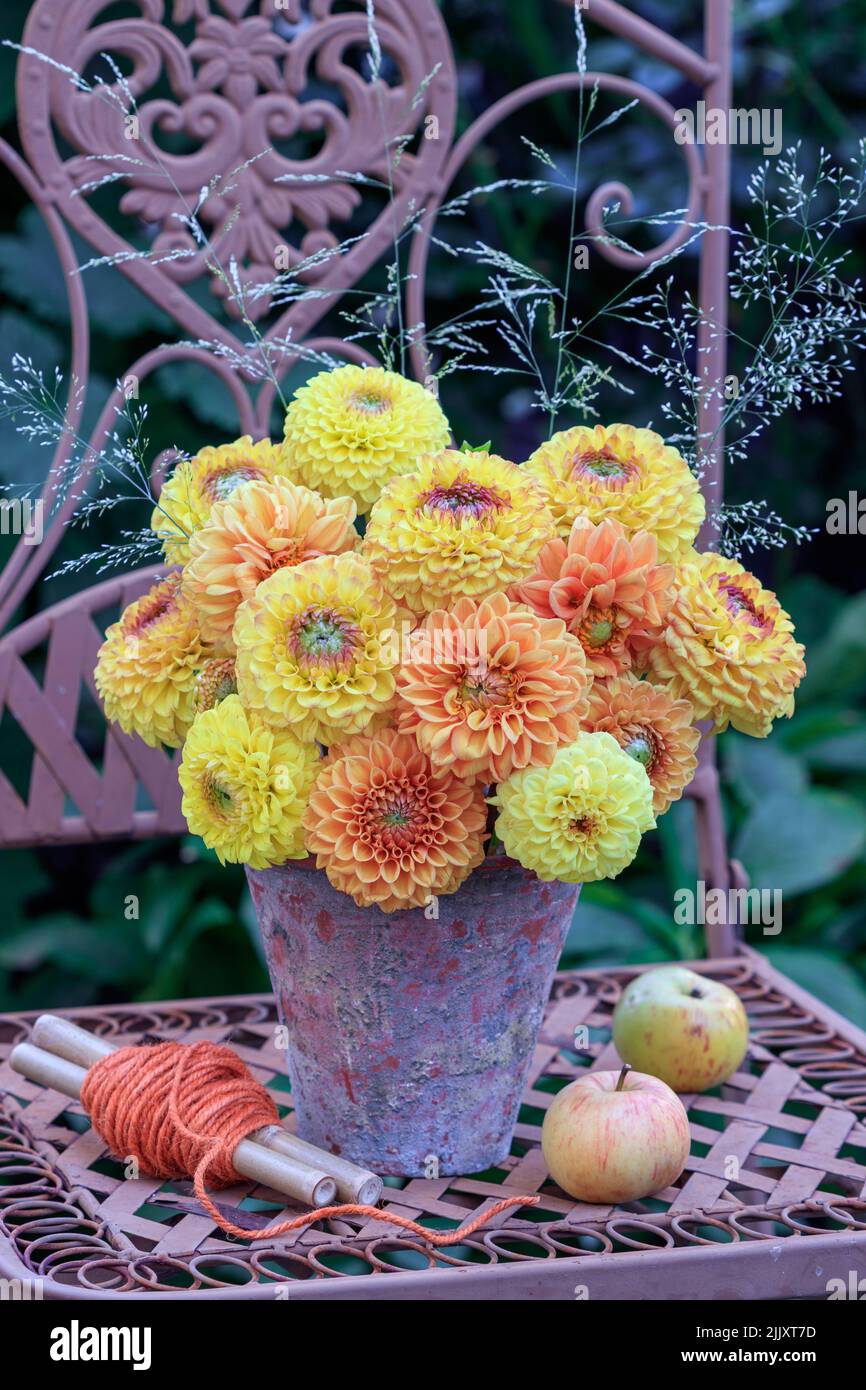 bouquet of orange and yellow dahlia flowers in vintage terracotta pot Stock Photo