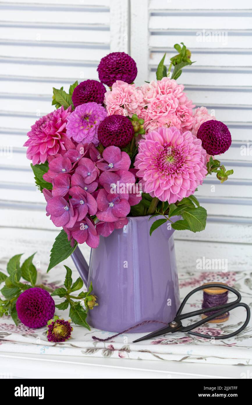 bouquet of pink and purple dahlias, hydrangea flowers and roses in vase Stock Photo