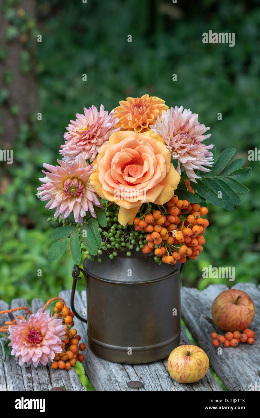 bouquet of orange rose, dahlias and rowan berries in vintage milk can Stock Photo