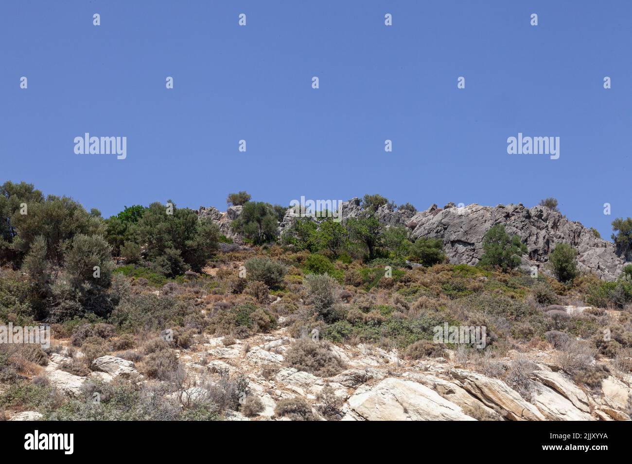 Landscape with rocky hill and wild trees. Hill and cloudless blue sky. Stock Photo