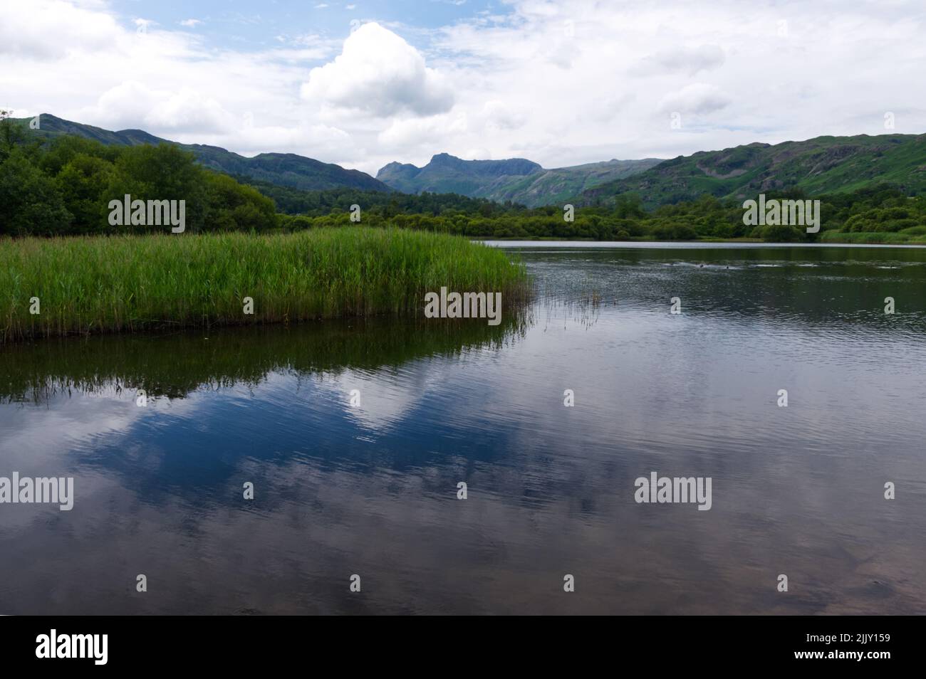 In the far distance, the Langdale Pikes, from Elterwater, Langdale, Lake District National Park, England. Stock Photo