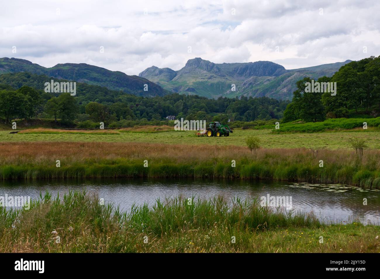 Farmer in Tractor cutting meadows, Elterwater, Langdale, Lake District National Park, England. Stock Photo
