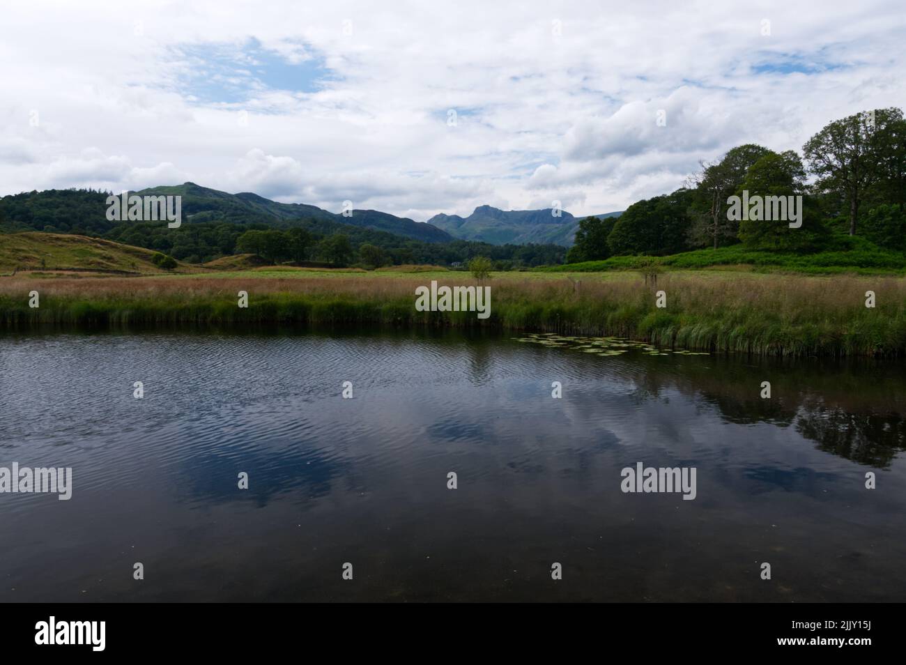 In the far distance, the Langdale Pikes, from Elterwater, Langdale, Lake District National Park, England. Stock Photo