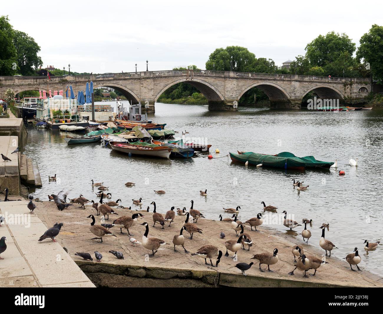 View of Richmond Bridge that crosses the River Thames at Richmond in London Stock Photo