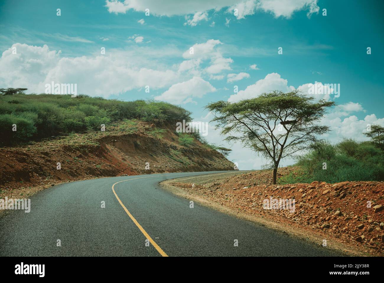 Travel in Africa, acacia tree by the rough road lined with red soil. Stock Photo
