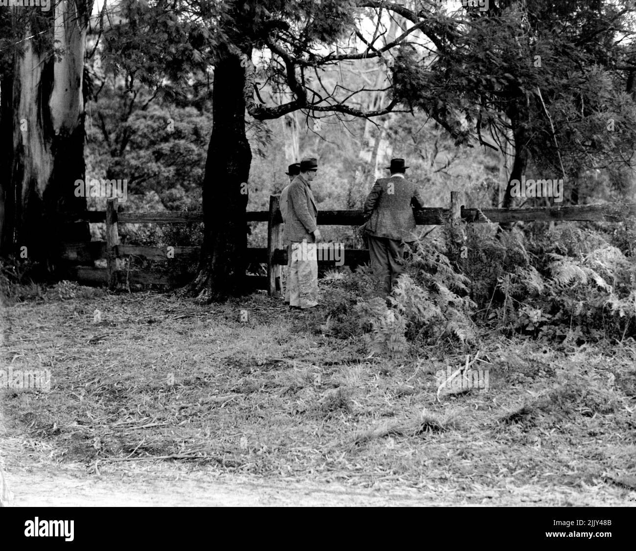 Mrs. Phyllis Page - Believed Murdered - Personalities. August 1, 1950. Stock Photo