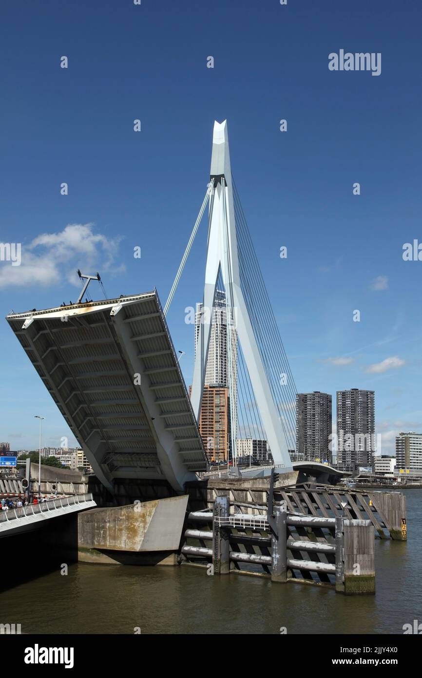 Erasmus Bridge