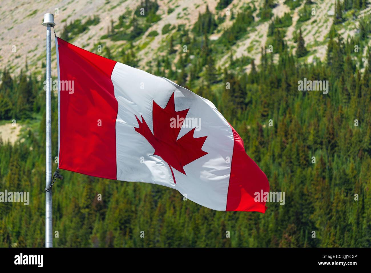 Canadian flag waving in the wind with Rocky mountains pine forest, Canada. Stock Photo