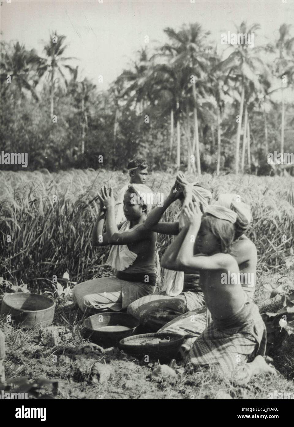 Women praying before an earthen shrine in a rice field. May 7, 1945 ...