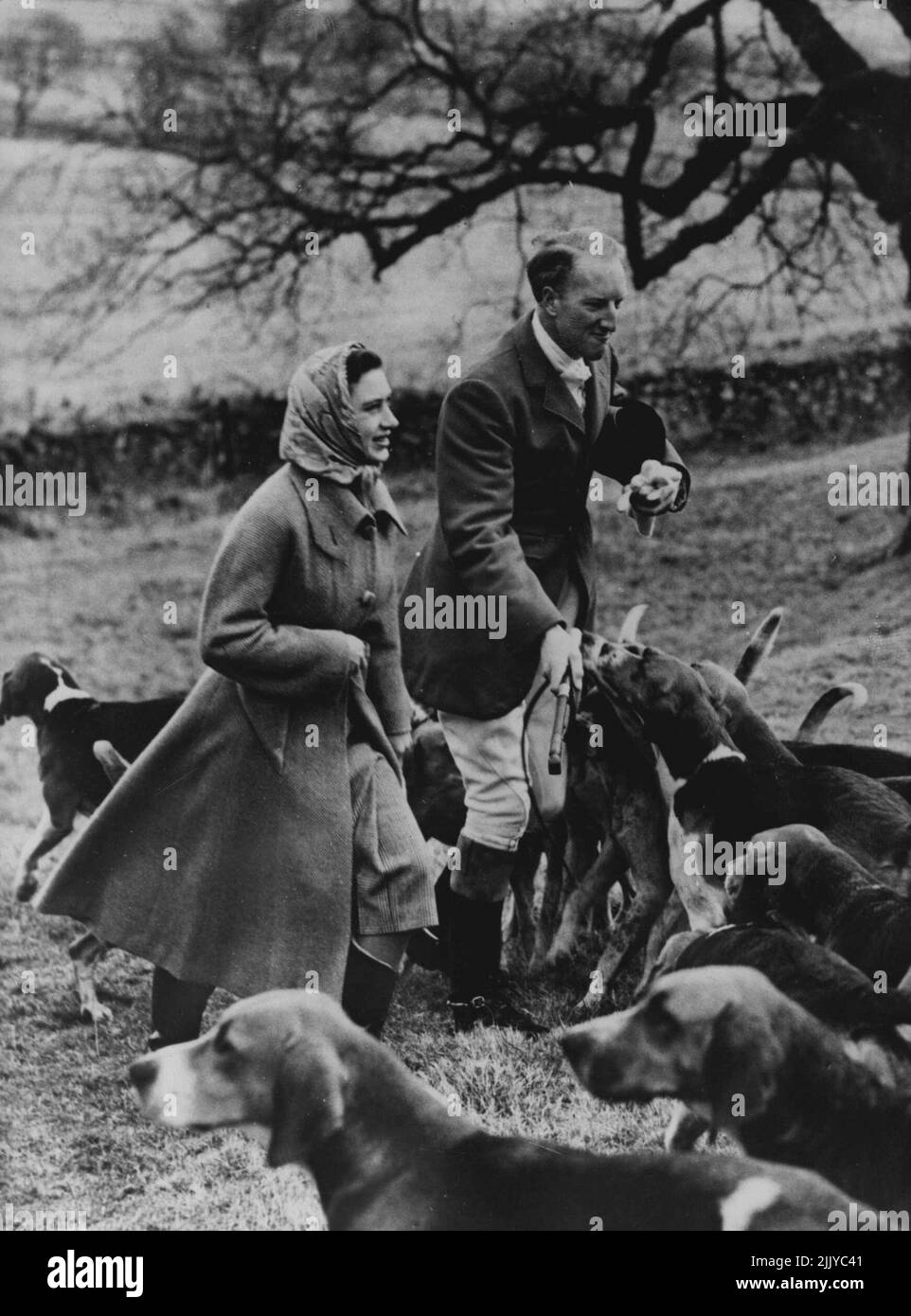 NC Lick for the Princess:- The hounds of the Berwickshire hunt press to lick the hand of the Earl of Dalkeith at a meet at home Castle, January 7 - Princess Margaret, Staying at nearby Marchmont house, Berwickshire, as the guest of captain and Mrs. J.H.F.McEwen, gave the hunt a royal send-off. January 08, 1952. (Photo by Associated Press Photo). Stock Photo