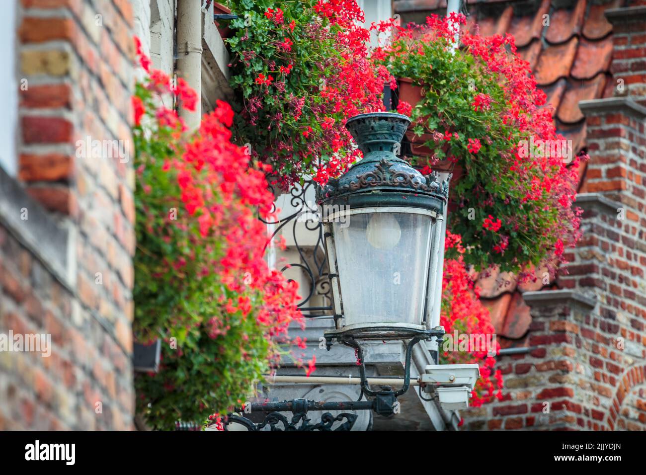 Street light lamp and balcony red flowers in Bruges, Belgium Stock