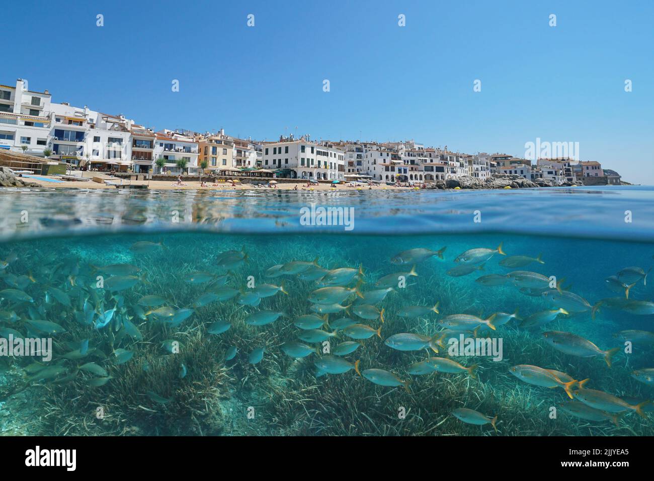 Spanish town on the Mediterranean coast with fish and seagrass underwater sea, Spain, Costa Brava, Calella de Palafrugell, split level view Stock Photo