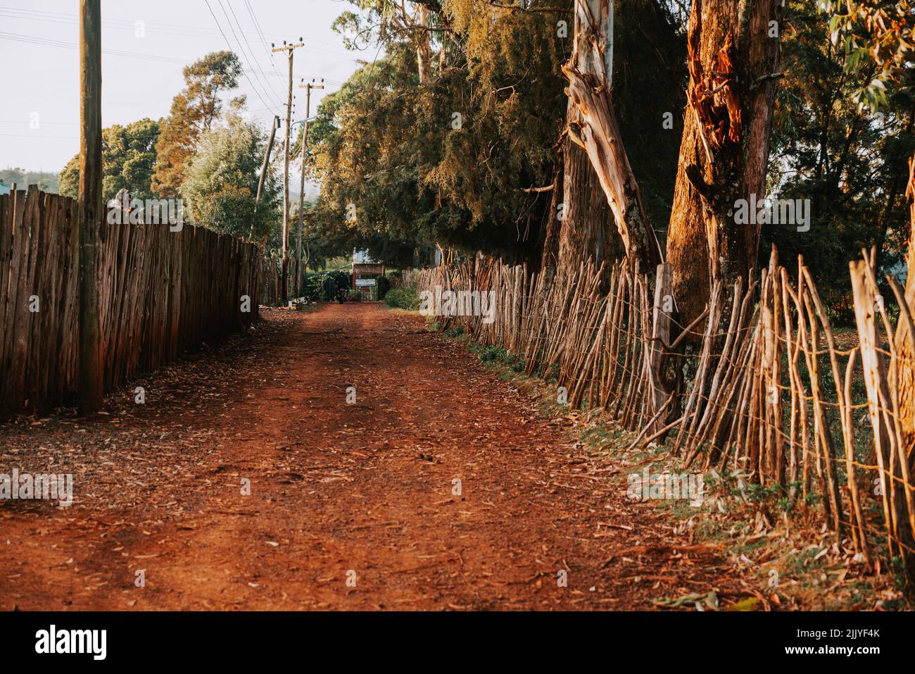 Rural landscape in Africa in Kenya. Rural road with red soil and magic African landscape in the morning Stock Photo
