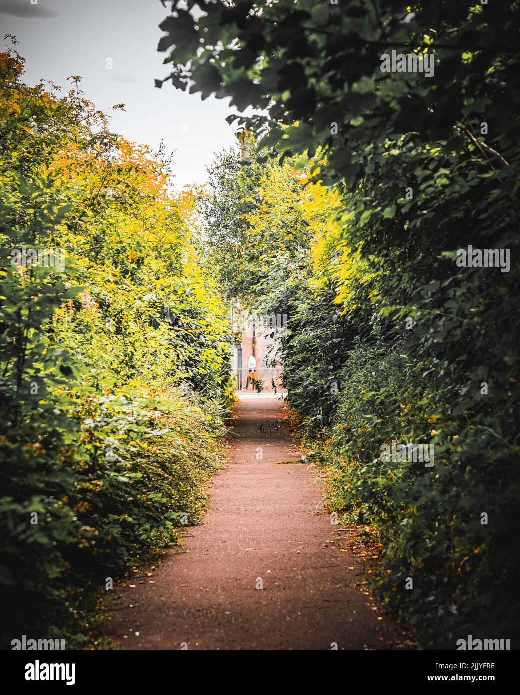 A pathway between trees in a beautiful park Stock Photo - Alamy
