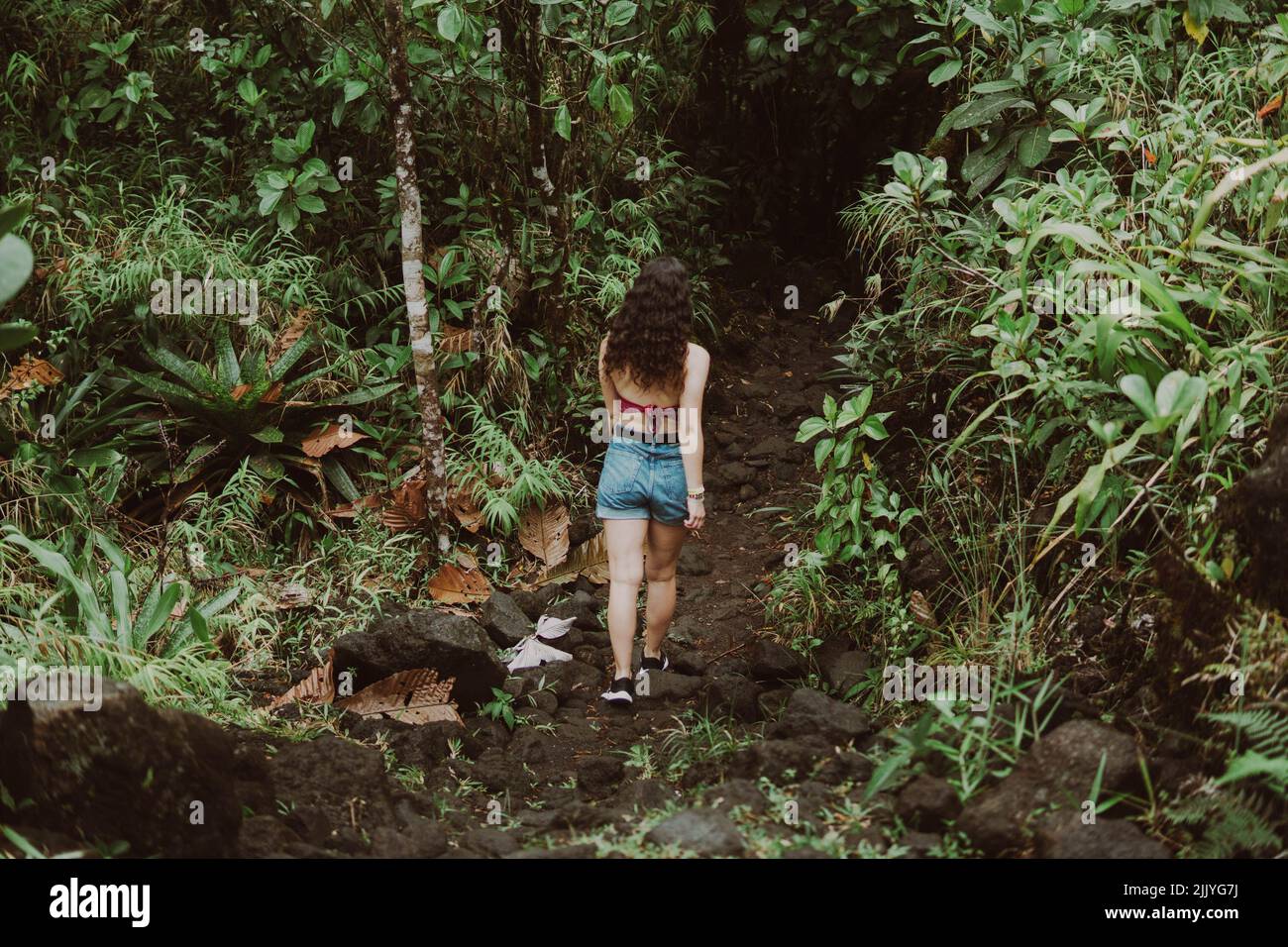 woman walking in the middle of the jungle Stock Photo