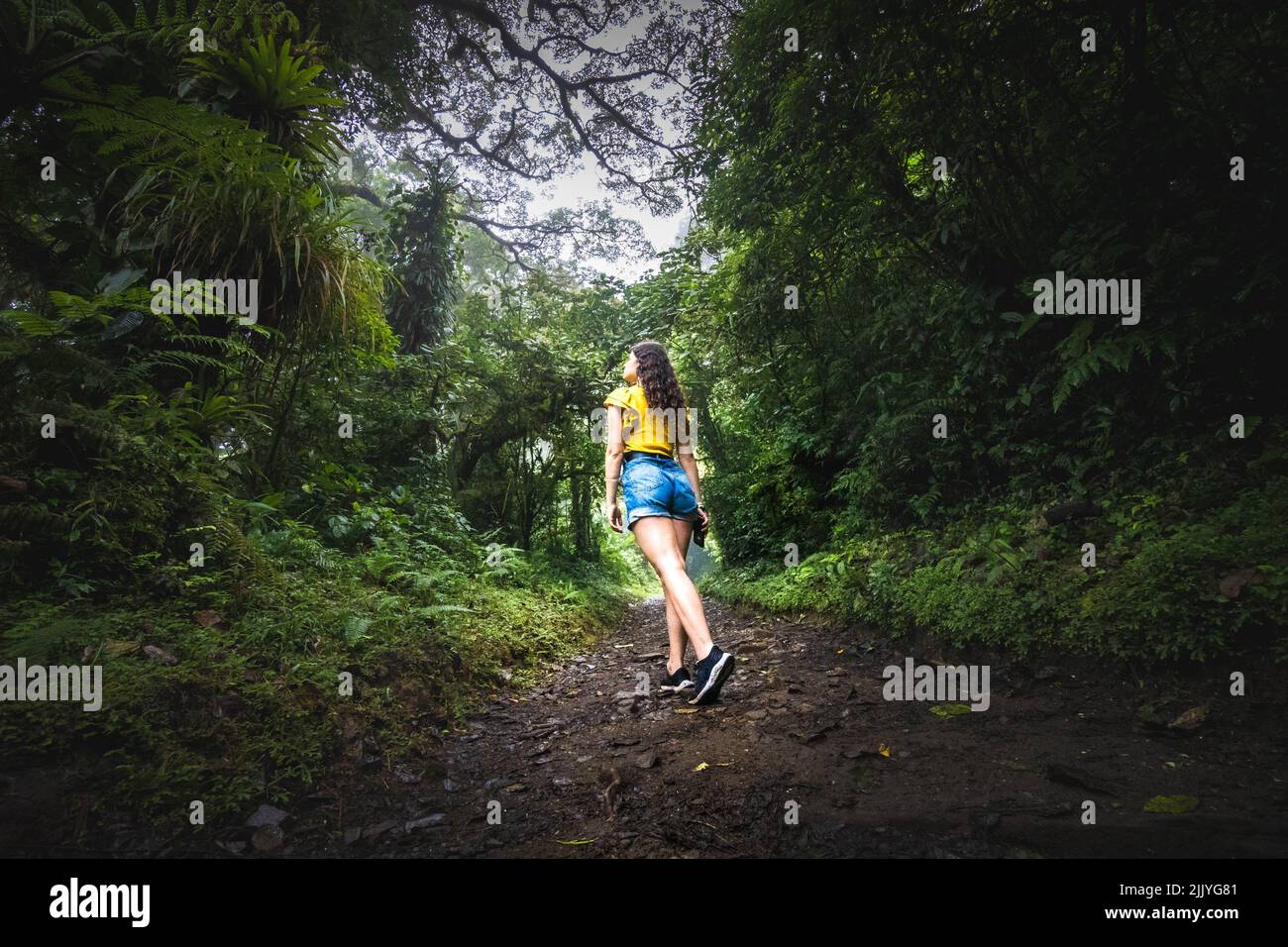 woman walking in the middle of the jungle Stock Photo