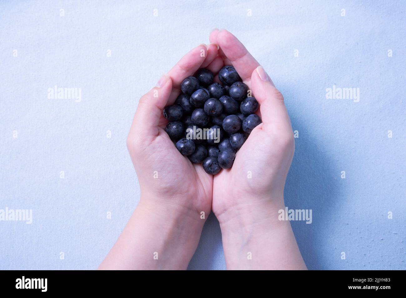 A handful of blueberries in female hands on a purple background Stock Photo