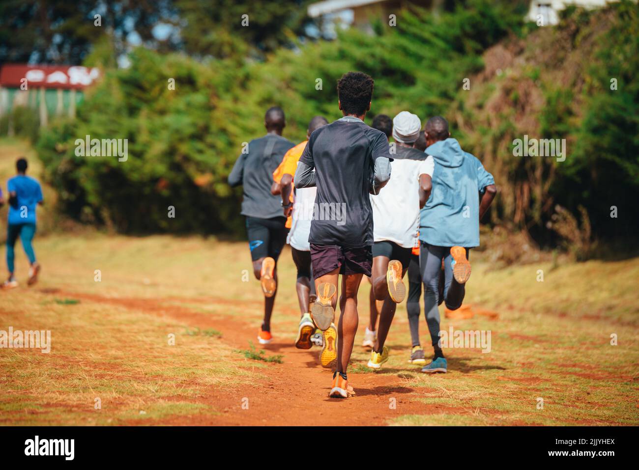 Group training in Kenya. A large group of Kenyan runners are preparing