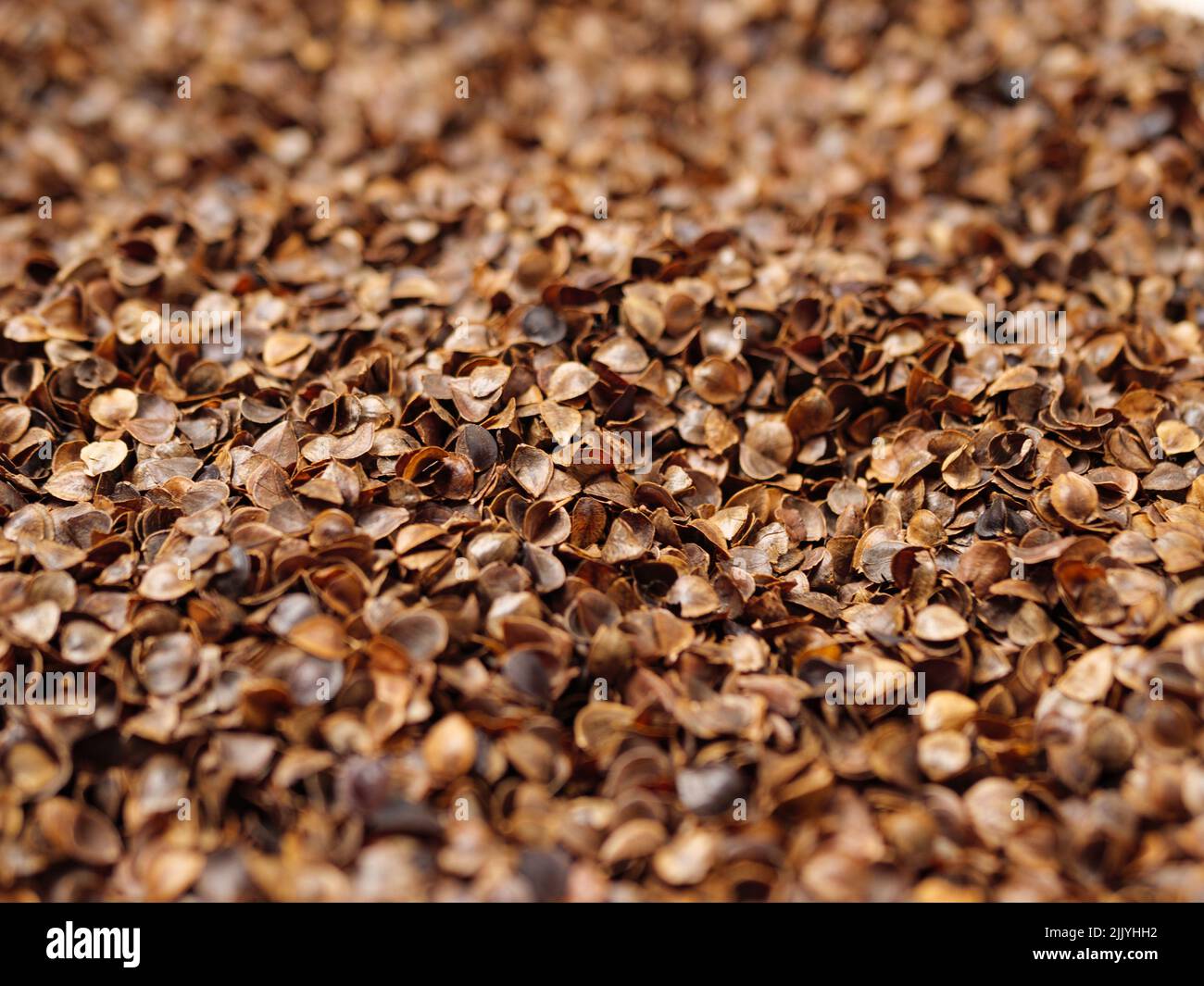 Close up photo of organic buckwheat husks used as a filling for buckwheat pillow Stock Photo Alamy