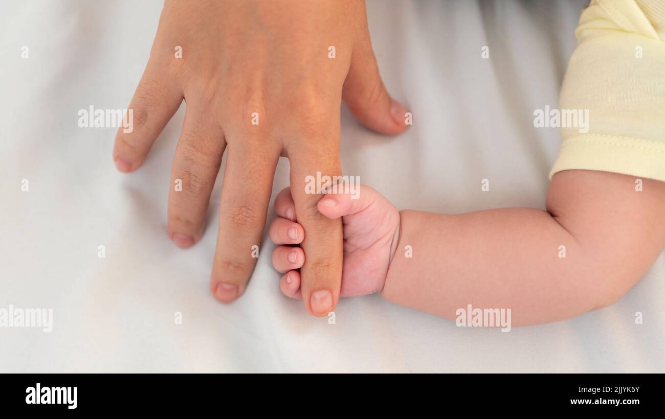 Hand of little baby and finger of adult on white sheet bed background with day light. Cute boy and chubby hands of a child. The age of 3 months learns Stock Photo