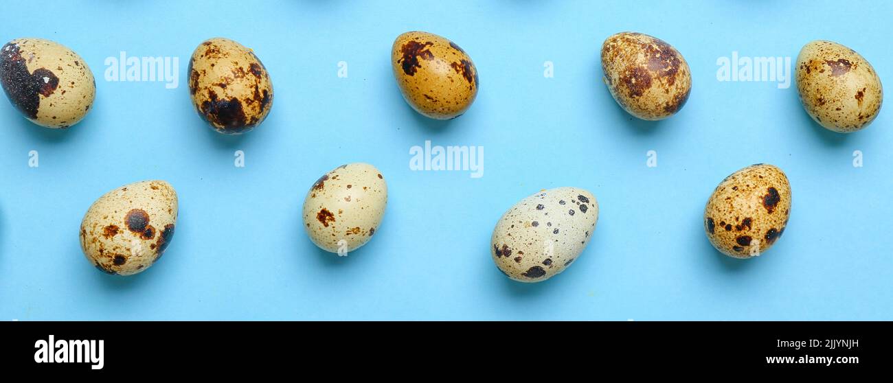 Quails Many Many quail eggs on blue background. Pattern for design Stock Photo - Alamy