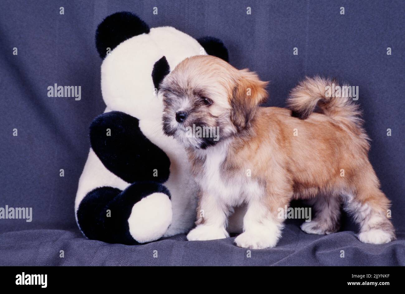 Lhasa apso stuffed toy 2025