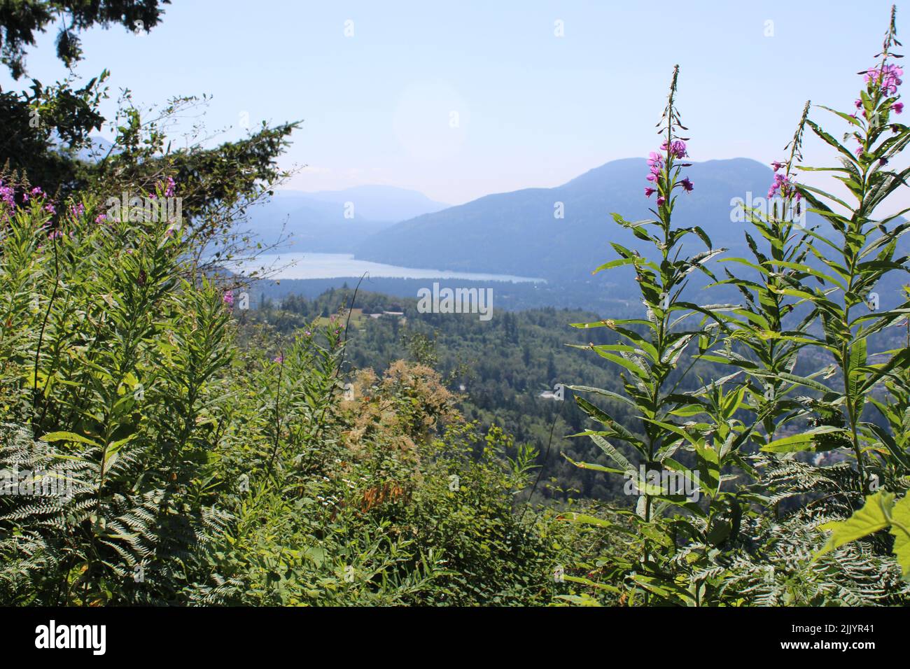 Mount Thom, Chilliwack BC, Canada,  View Point Stock Photo