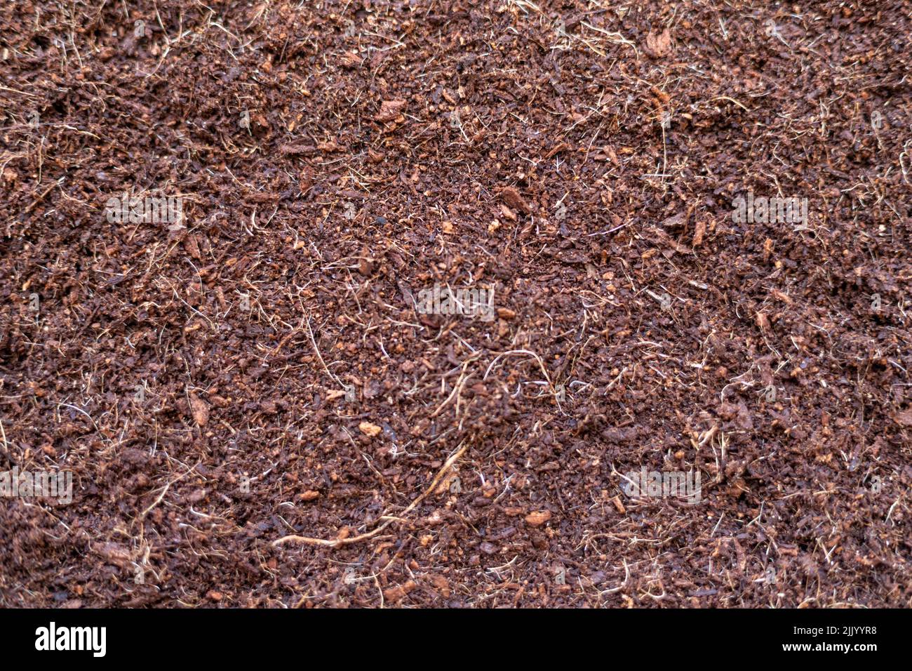 cocopeatCoco peat for gardening. Coco peat is growing medium made out