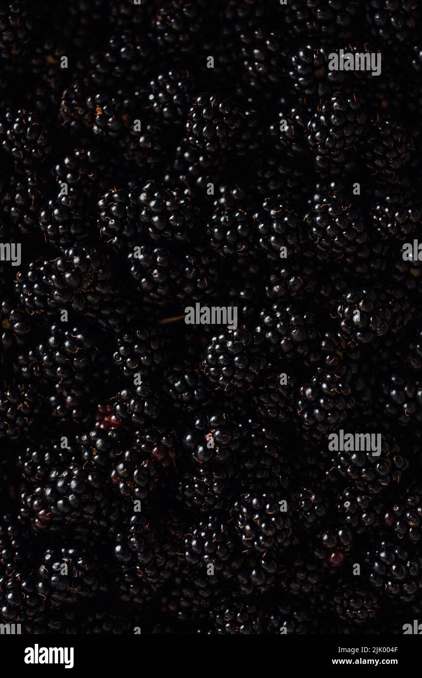 solid background of wild blackberries berry juice ready for pie Stock Photo