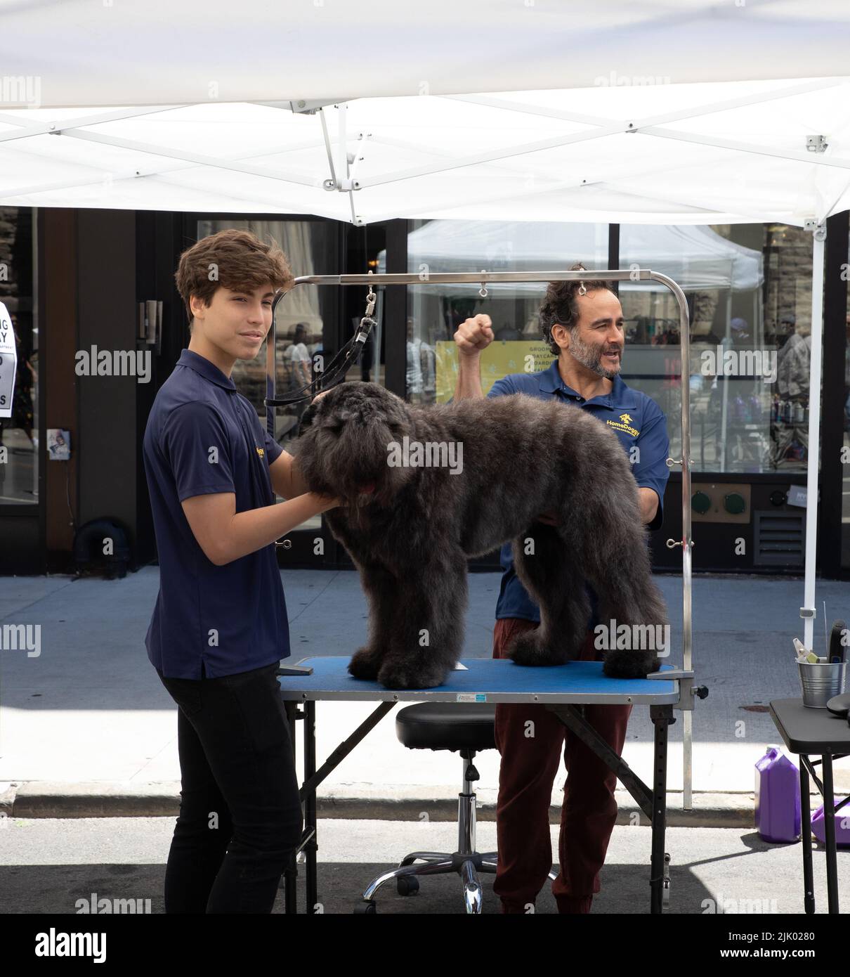 A dog groomer's tent at Father's Day at a street fair in 7th Ave