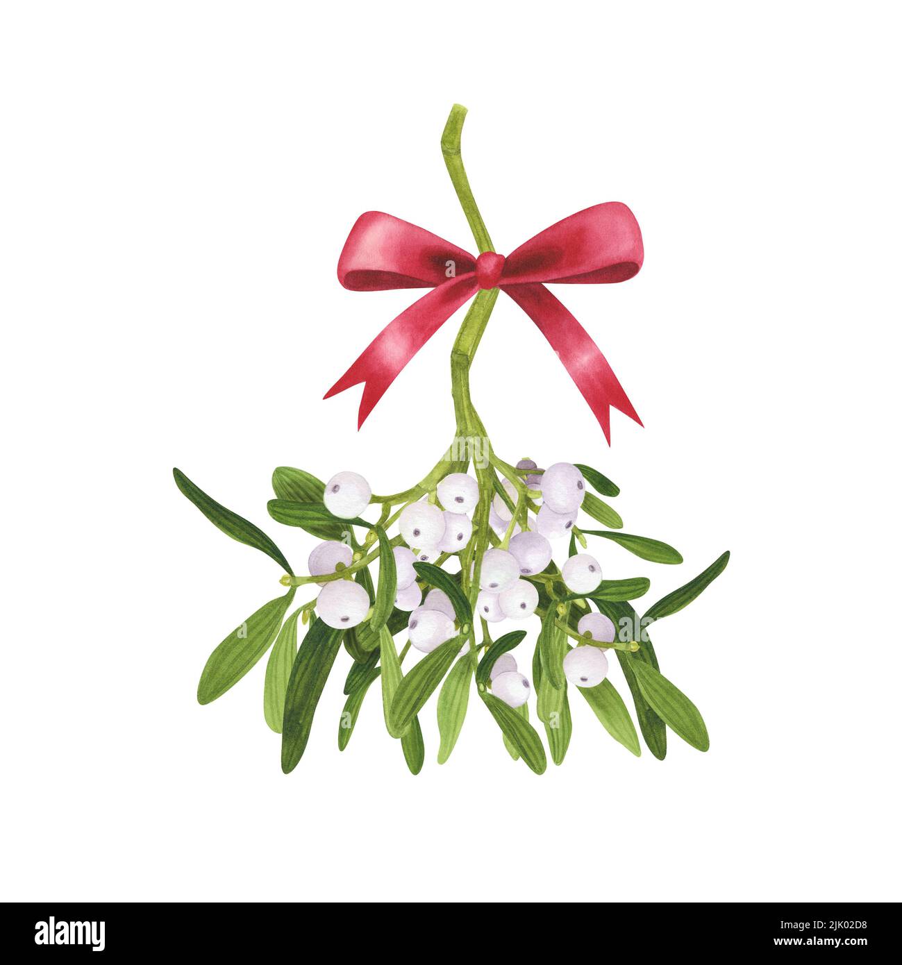 Christmas Mistletoe branch with red ribbon bow isolated on white ...