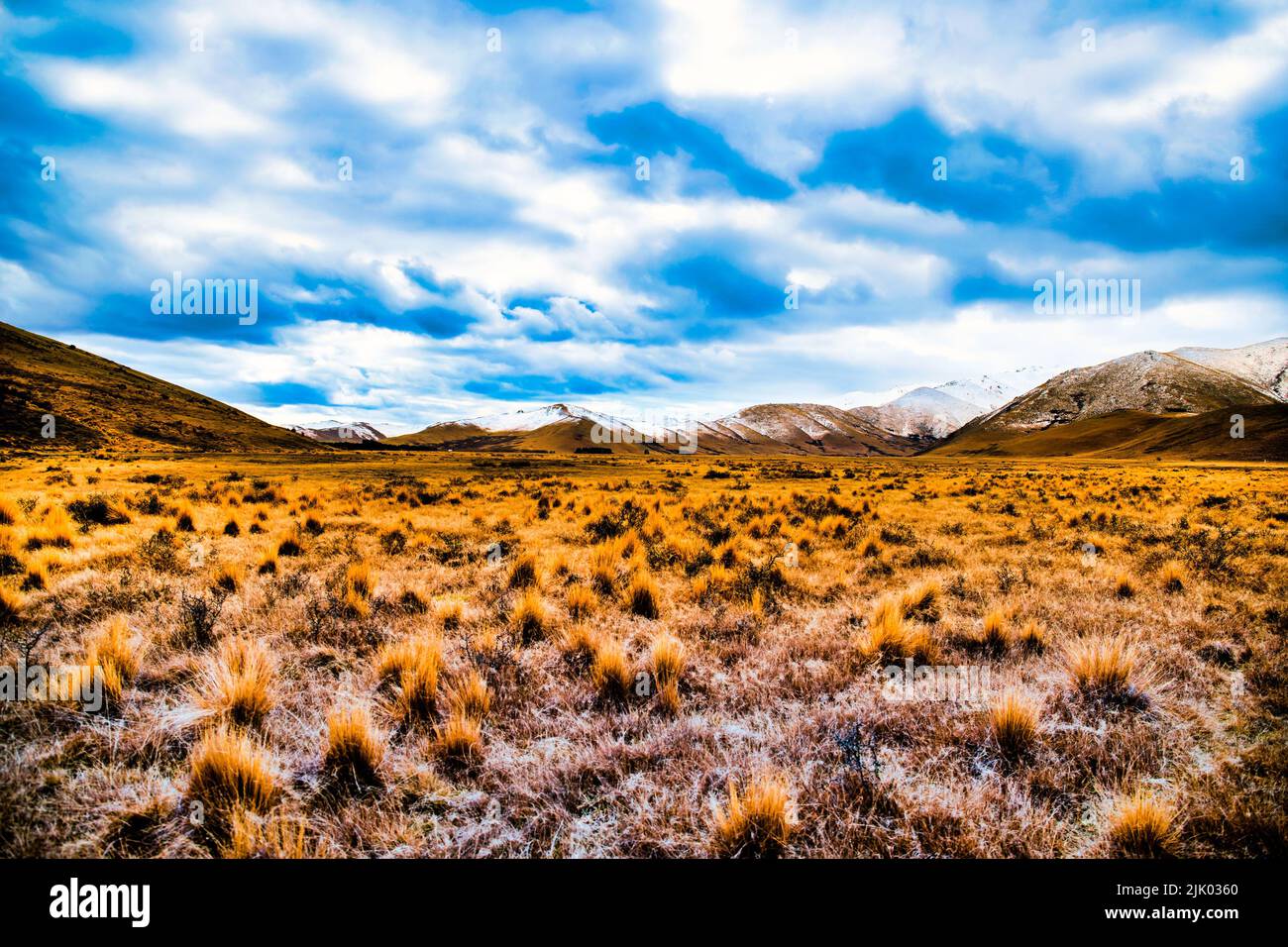 Tussock Rocks Frost covered tussock in the high country valley beneath the Snow ...