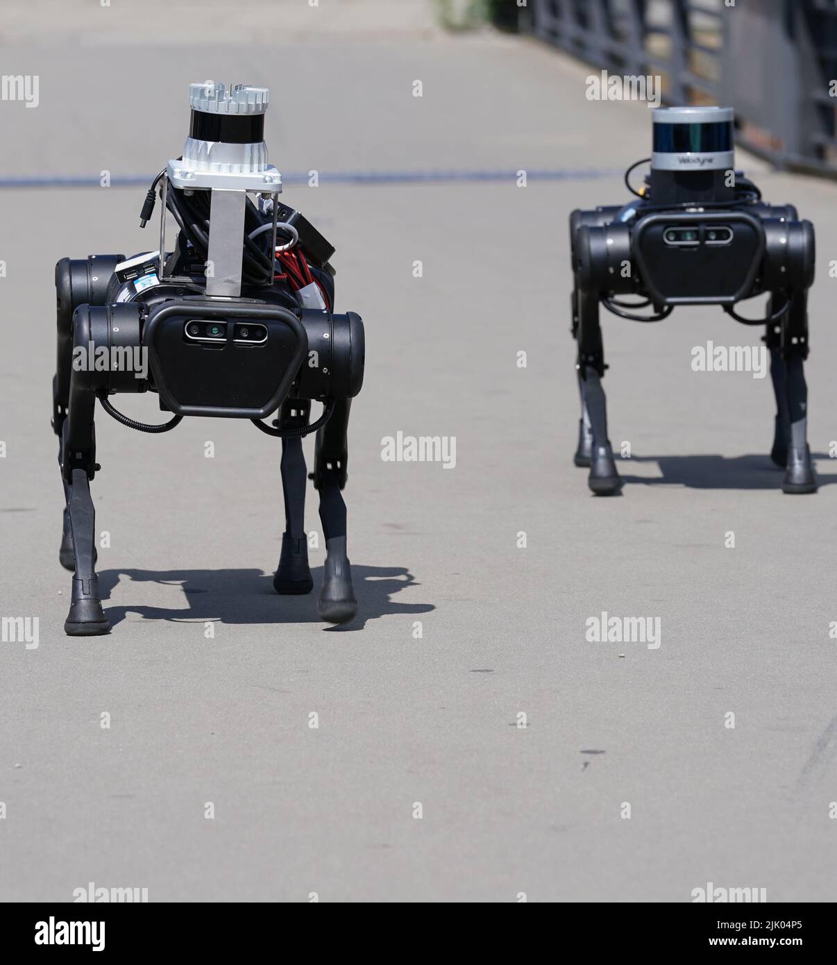 Hamburg, Germany. 11th July, 2022. Two robot dogs from the Institute for  Digital and Autonomous Construction at the Hamburg University of Technology  (TUHH), walk across the Citadel Bridge in Harburg's inland port.
