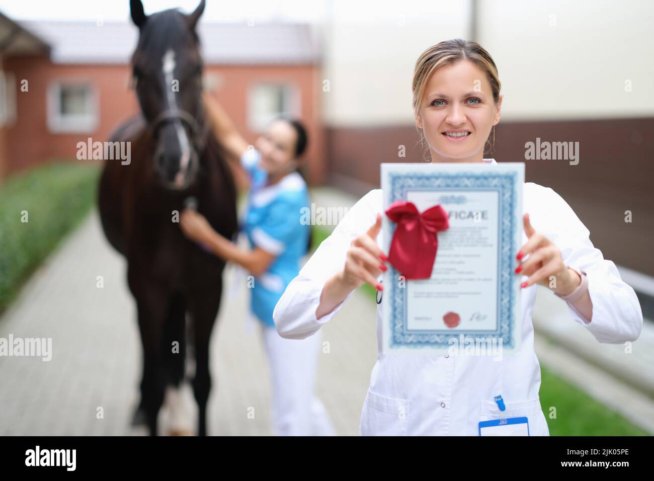 International veterinary certificate for sport horses closeup Stock Photo