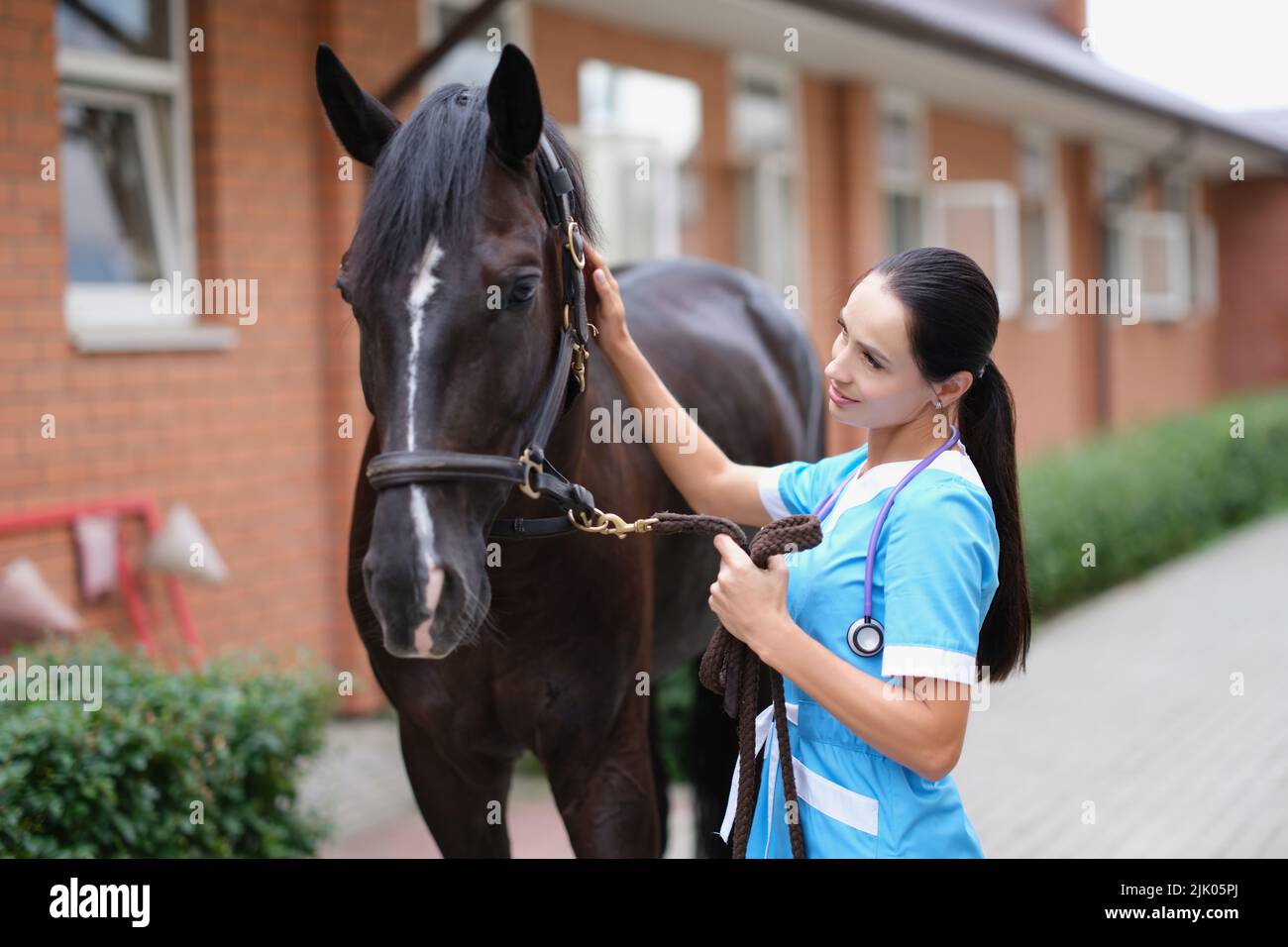 Female doctor in uniform with horse in stable Stock Photo