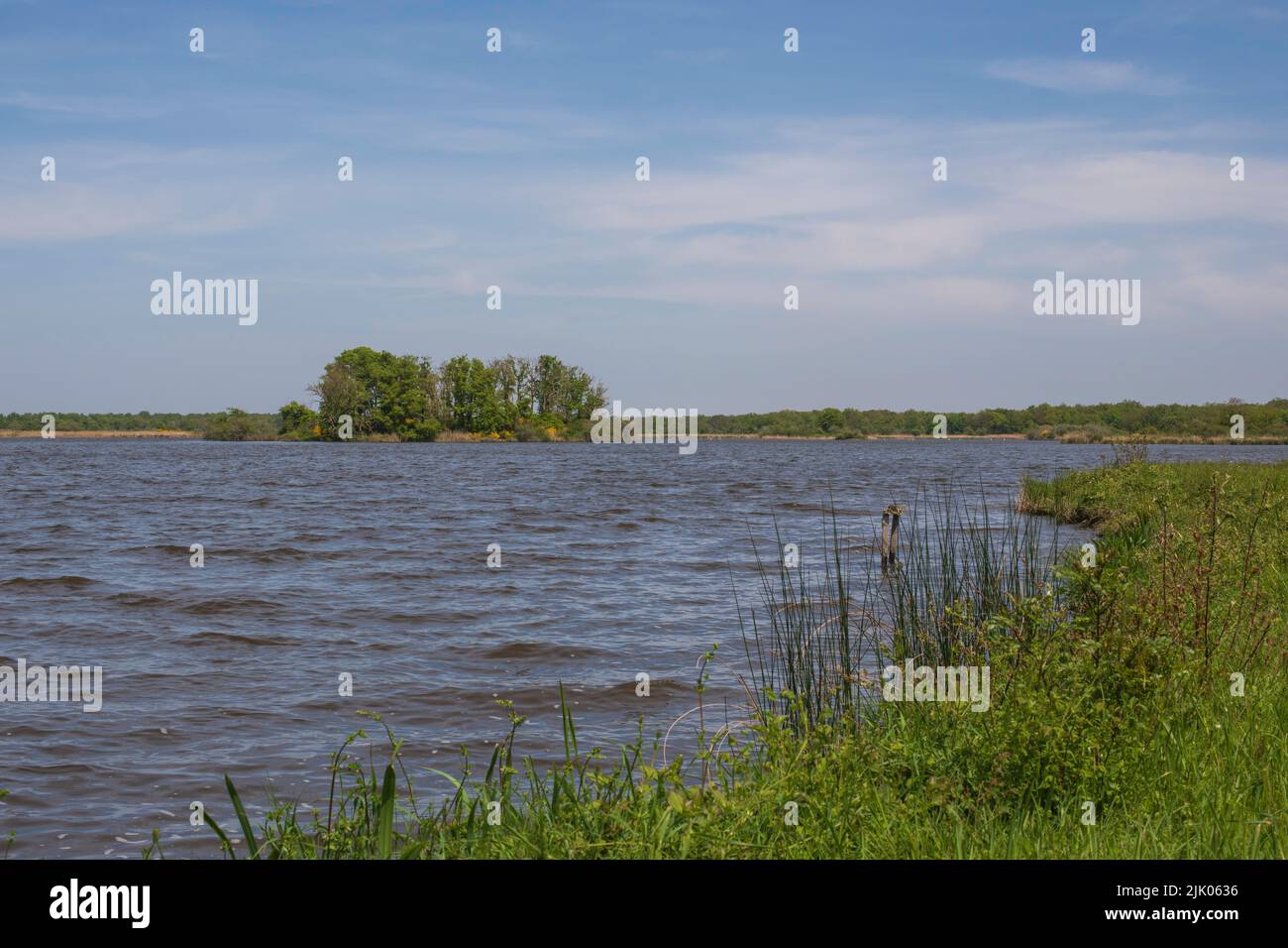 Pond located in Brenne area in France Stock Photo
