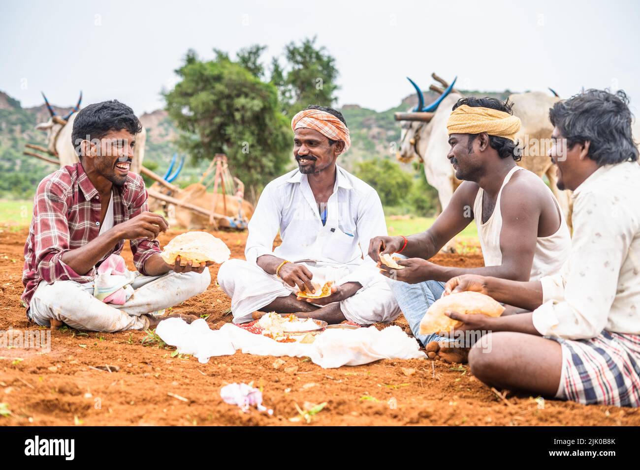 happy smiling Group of farmers having lunch while sitting at farmland in front of cattle - concept of taking break, cultivation season and farming. Stock Photo