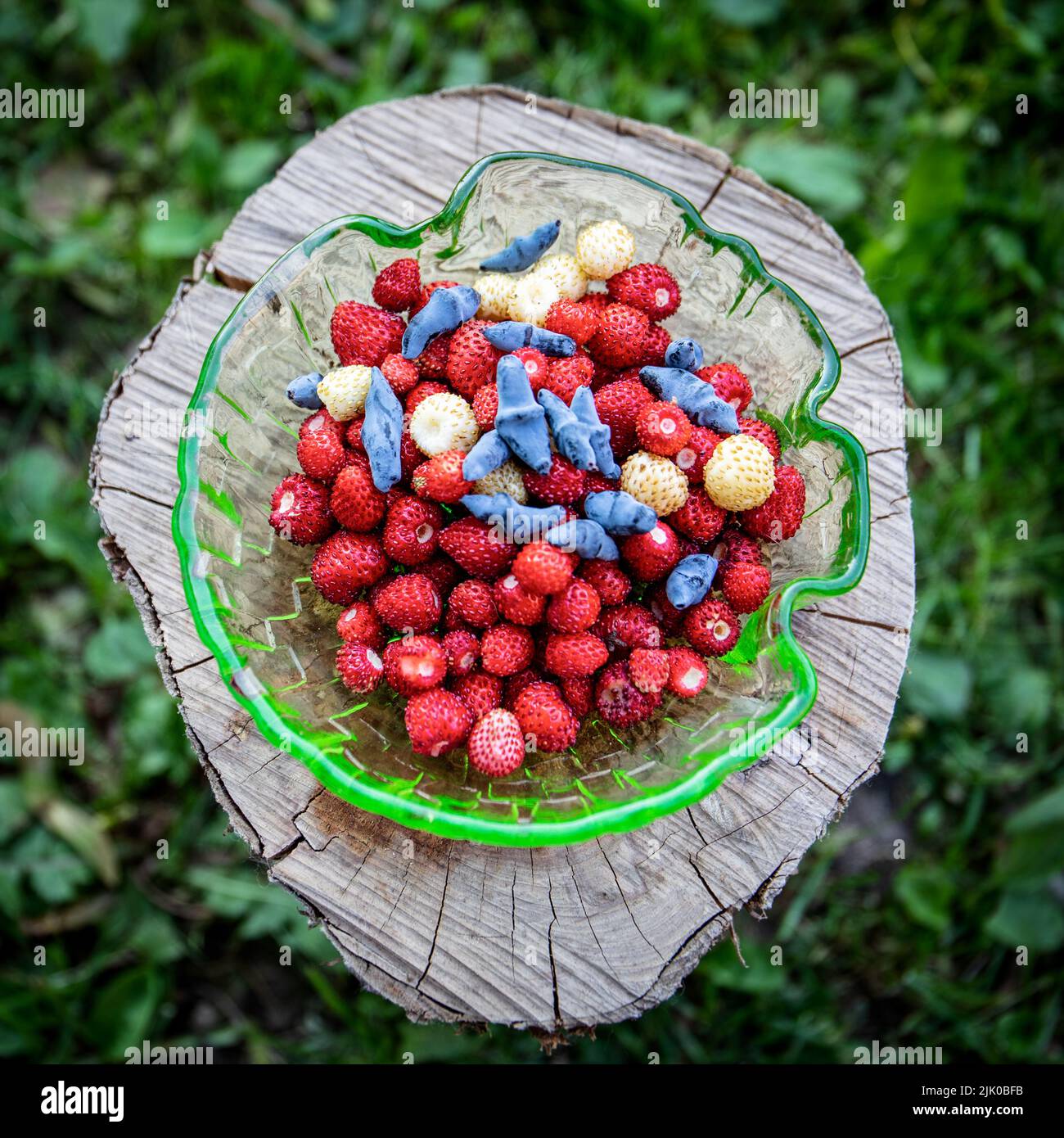 Wild berries in a uranium glass container. Strawberries and blue honeysuckle. Stock Photo